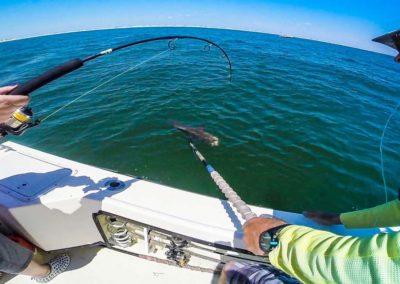 Fishing on the Outer Banks with DOA Charters